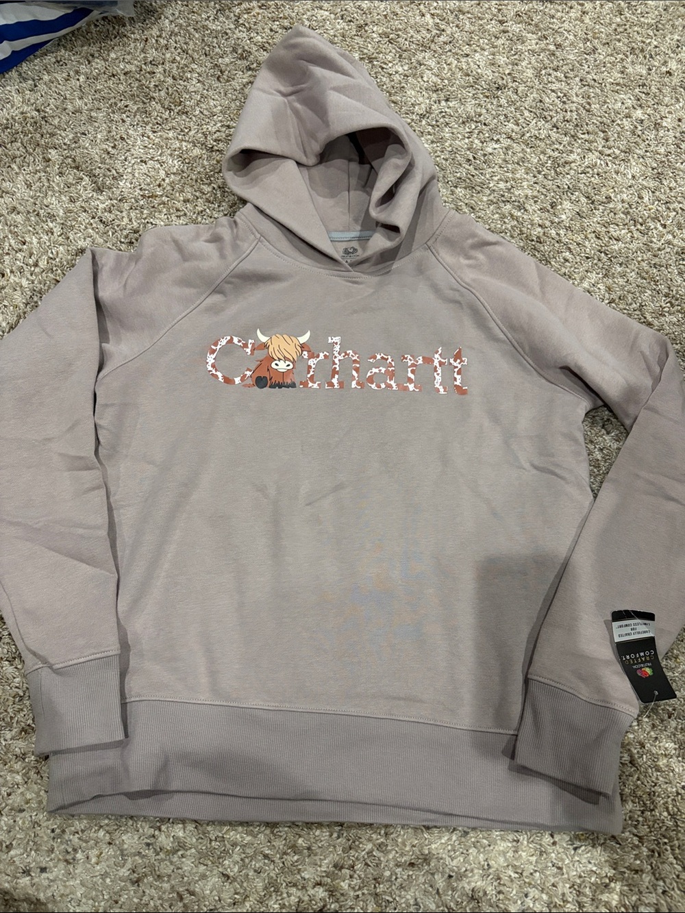 Fruit of the Loom Women's Hoodie in Walnut Heather with Graphic Logo